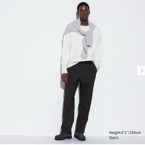 Uniqlo Pleated Wide Pants XL